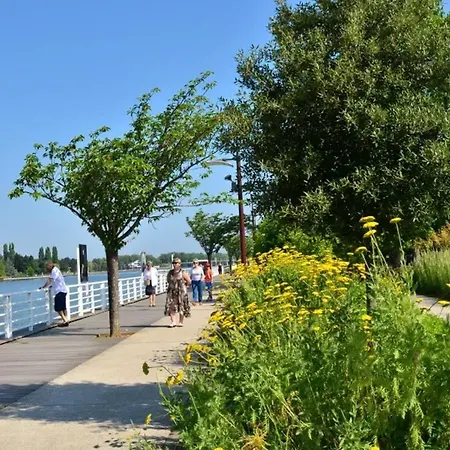 Au Coeur De 21 M² Vue Sur La Vichy